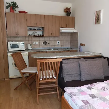 Apartman U Francouze *