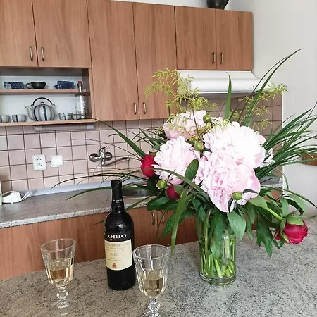 Apartman U Francouze *