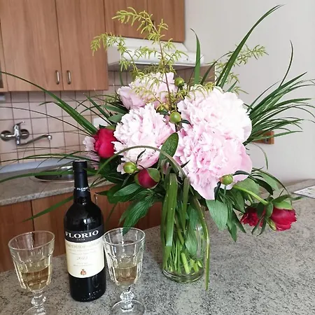 Apartman U Francouze